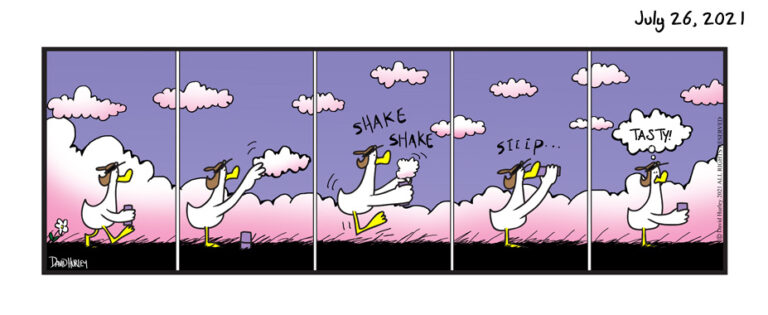 Fresh Cloud