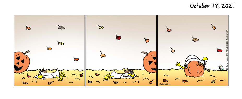 A Pumpkin Nap (10182021)