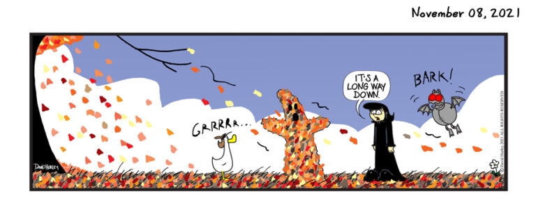 Fall Time (11082021)