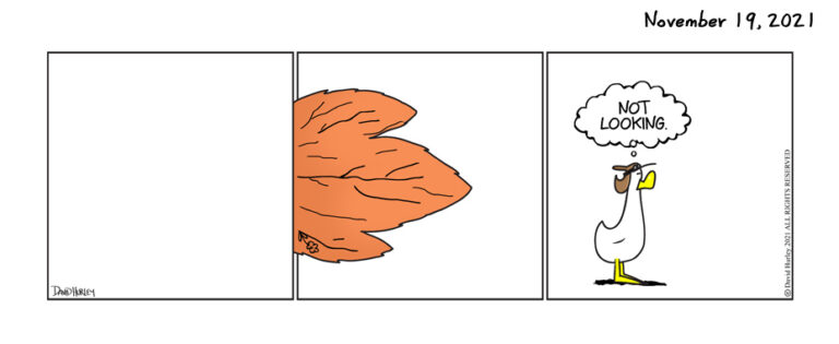 The Leaf (11192021)
