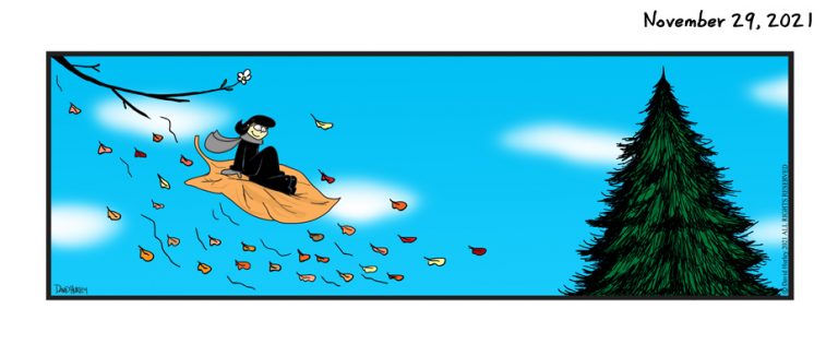 Christmas Landing (11292021)