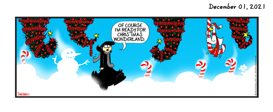 Christmas Wonderland (12012021)