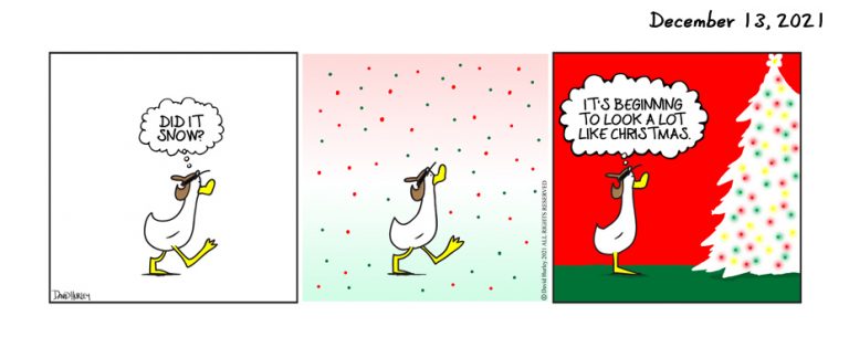 Christmas Colors (12132021)