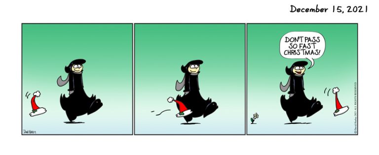 Not Too Fast (12152021)