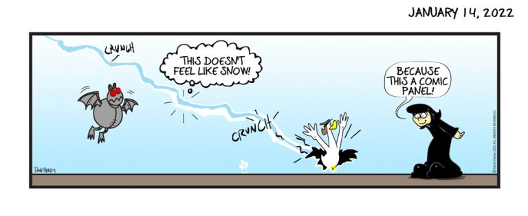 Snow Panel (01142022)