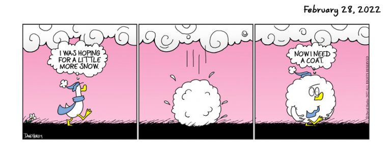 Snow Ball (02282022)