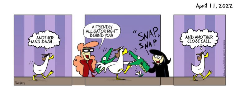 Snap, Snap (04112022)