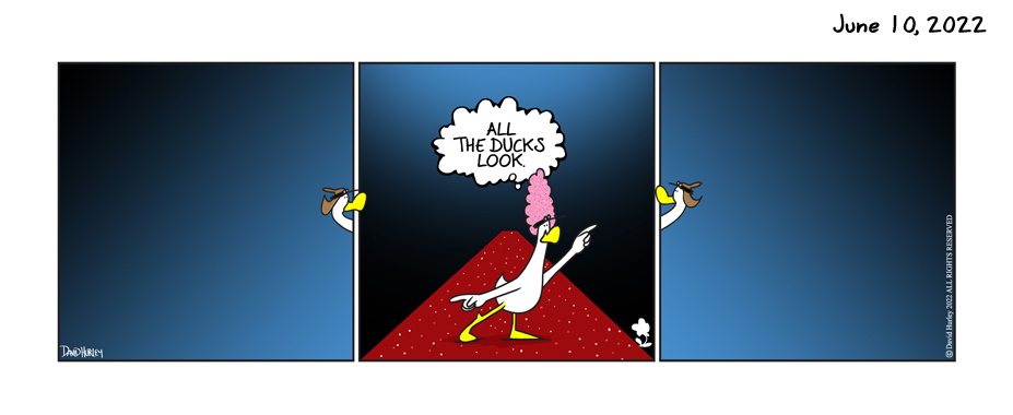 Duck Looks (06102022)