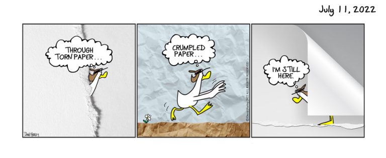 Paper Duck (07112022)