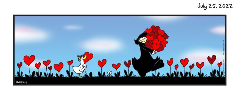 Love Field (07252022)
