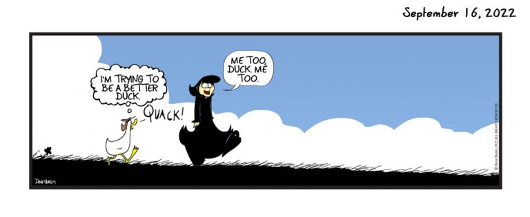 Better Duck (09162022)