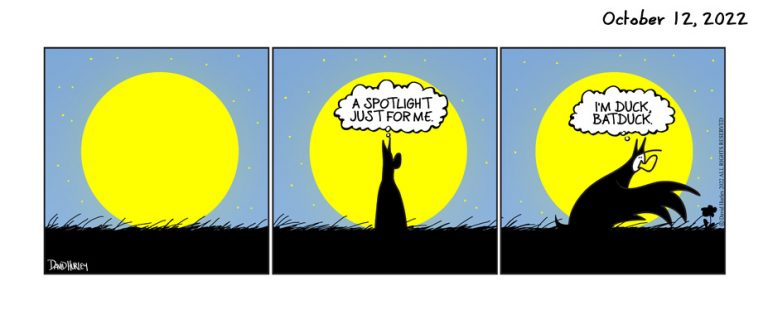 MoonLight, SpotLight (10122022)