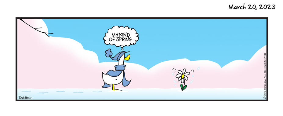 Spring Into Action (03202023)