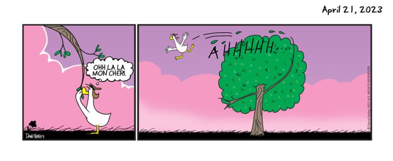 Ohh La La (04212023)