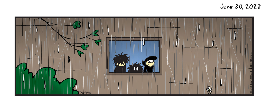 Rainy Day Window (06302023)