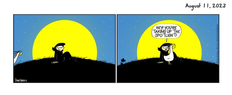 MoonLight SpotLight 2 (8112023)