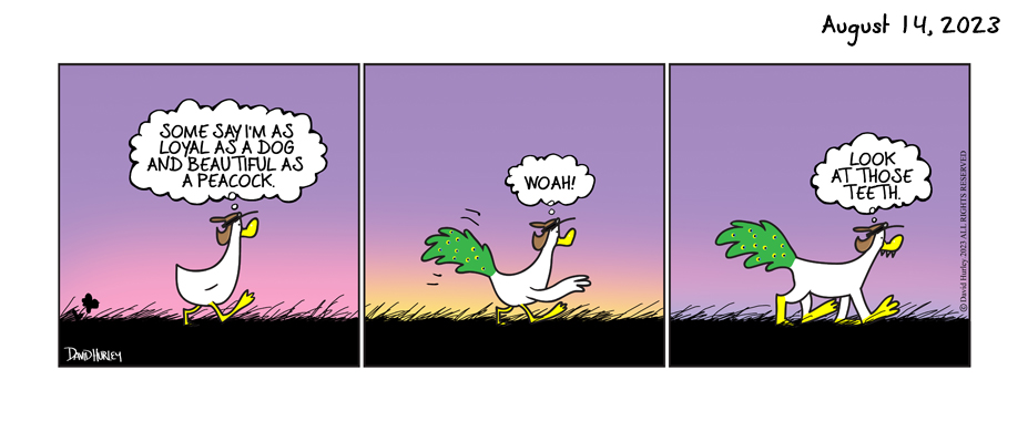 Duck in Wonderland (08142023)