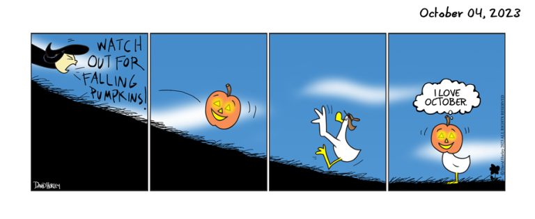 Pumpkin Roll (10042023)