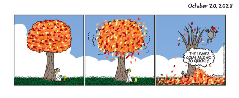 Fast Fall (10202023)