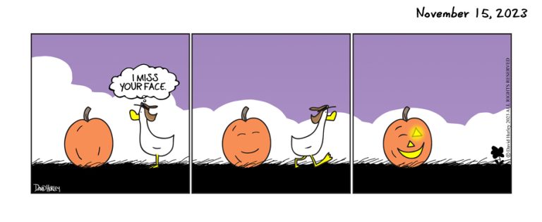 Pumpkin Face (11152023)