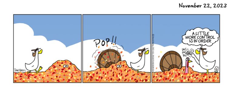 The Hiding Leaves (11222023)