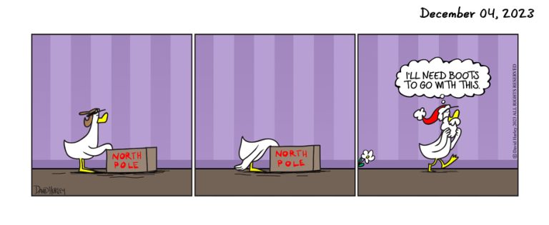 Christmas Box (12042023)