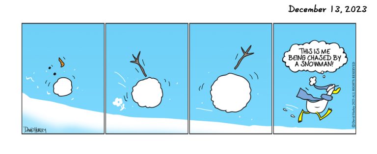 Snow Run (12132023)