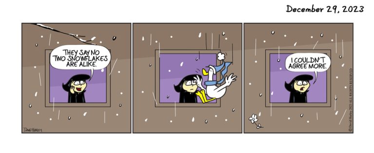 Snowflake (12292023)