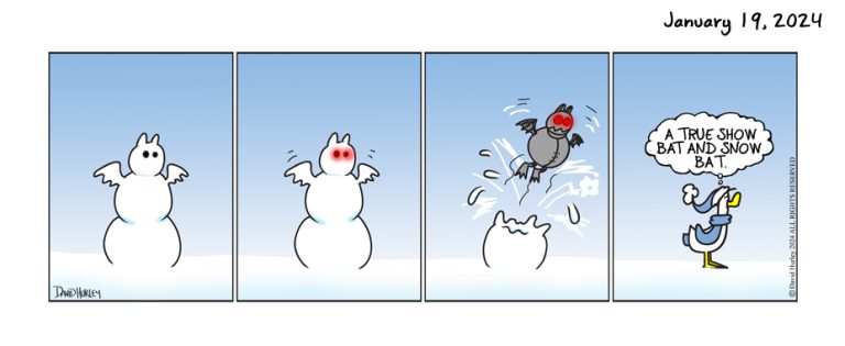 Snow Bat, Robot Bat (01192024)