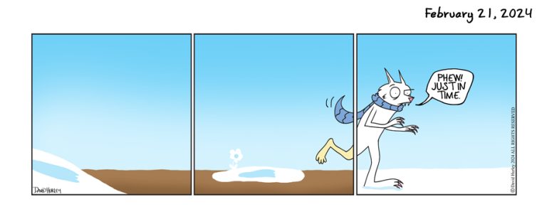 Elusive Save (02212024)