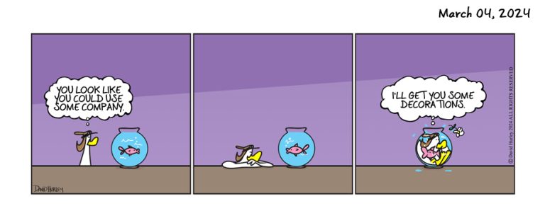 Pet Fish (03042024)