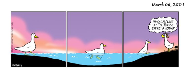 The Swim (03062024)
