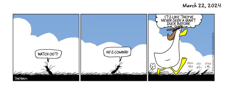 Ant Farm (03222024)