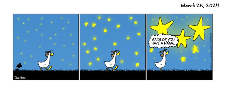 Star Count (03252024)