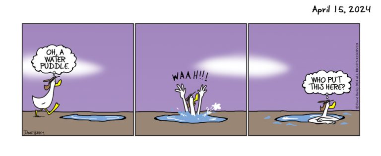 Time to Wade (04152024)