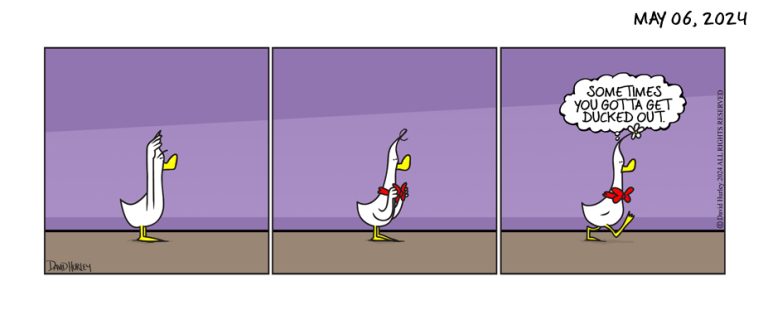 Deck The Duck (05062024)