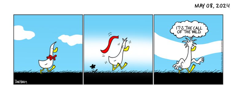 Duck Gone Wild (05082024)