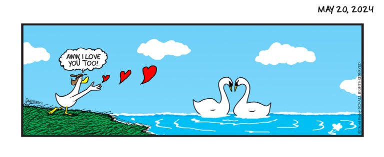 Swam Love (05202024)