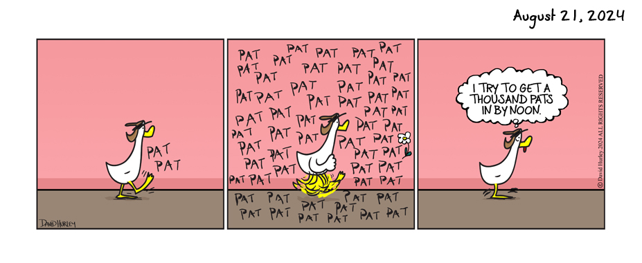 Pat Pat (08212024)