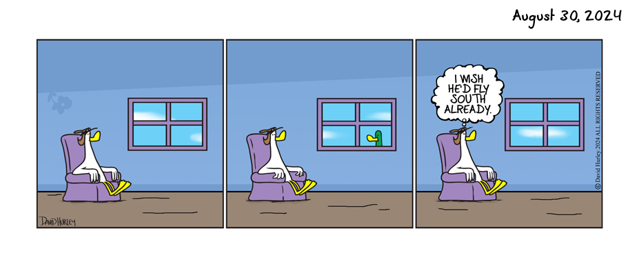 Peeping Duck (08302024)