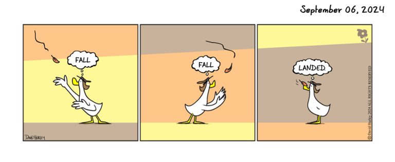 Fall Down (09062024)