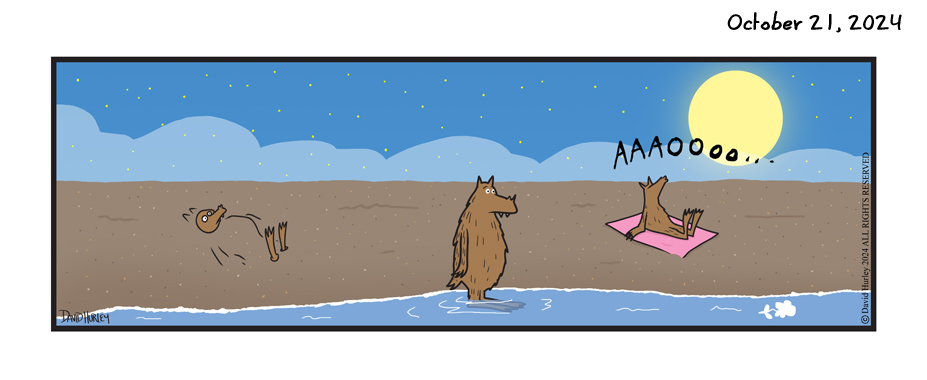 Werewolves at the Beach (10212024)