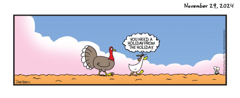 Holiday Holiday (11292024)