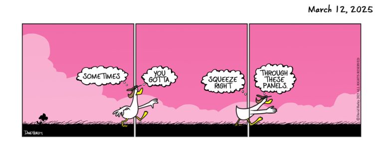 Panel Squeeze (03122025)