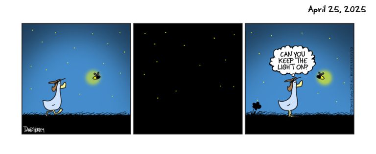 The Light (04252025)