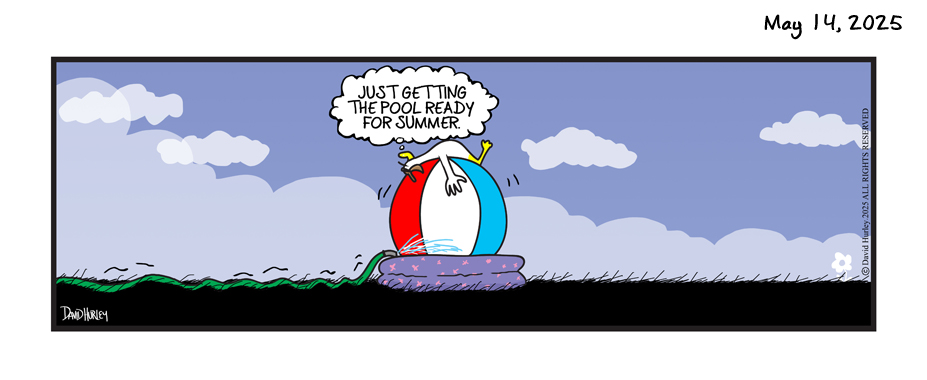 Pool Time (05142025)