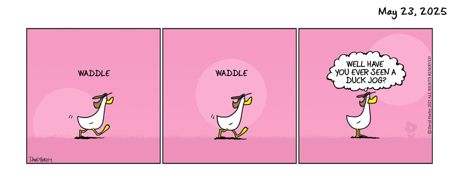 Waddle (05232025)
