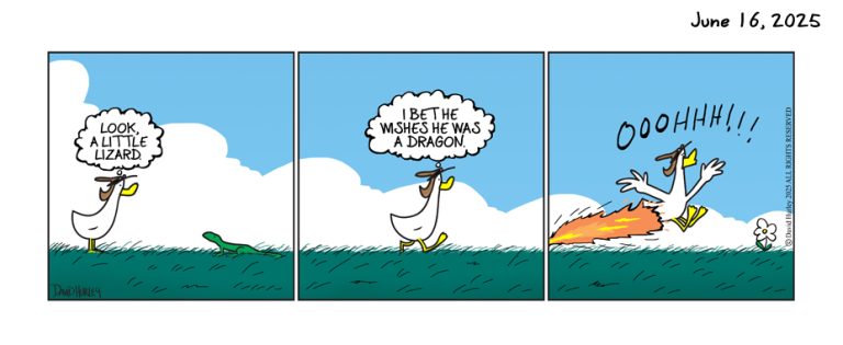 The Wish (06162025)