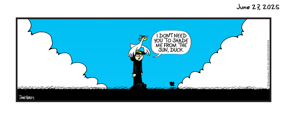 The Shade (06272025)