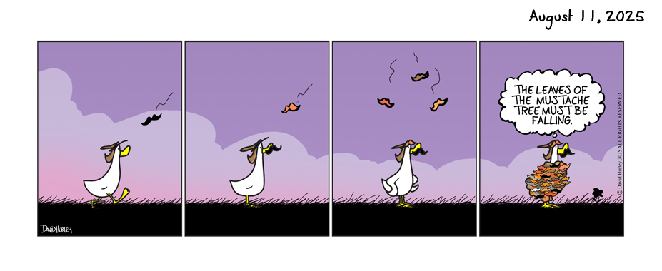 The Falling (08112025)